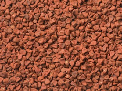 Dried Annatto seeds